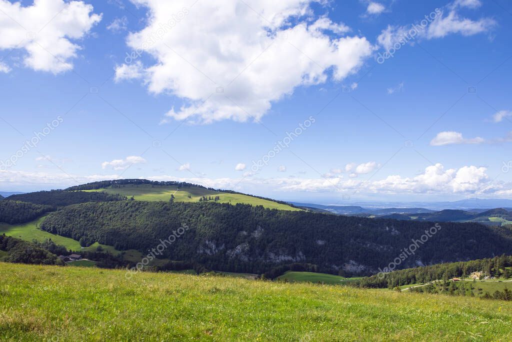 Fresh green meadow on slopes of Jura mountains and valley, swiss idyll landscape, summer day. Naturpark Thal, Switzerland.