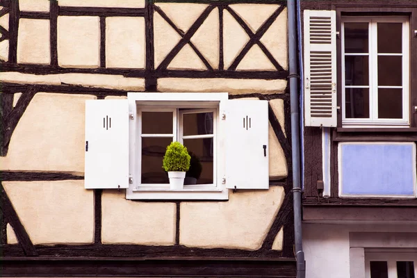 창문에 스타일로 프랑스의 알자스 프랑스 콜마르 — 스톡 사진