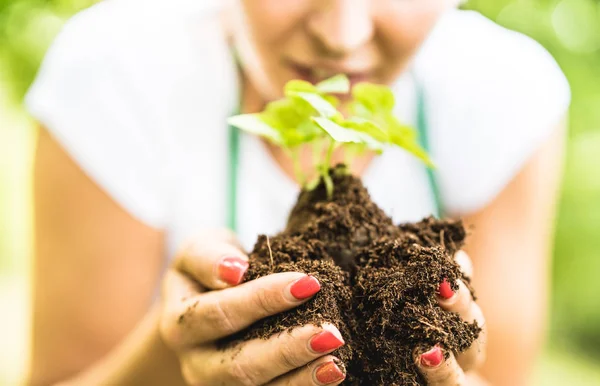 Lantarbetaren Hand Små Basilika Planta Alternativa Gård Biologi Agronomi Och — Stockfoto