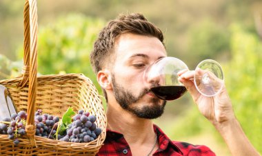 Genç adam zevk kırmızı şarap tadı açık havada şarap mahzeninde - uzmanlık kavramı ile profesyonel sommelier bio ürün hasat zaman tatma - Organik üzüm üretim deneyimi çiftlik evinde