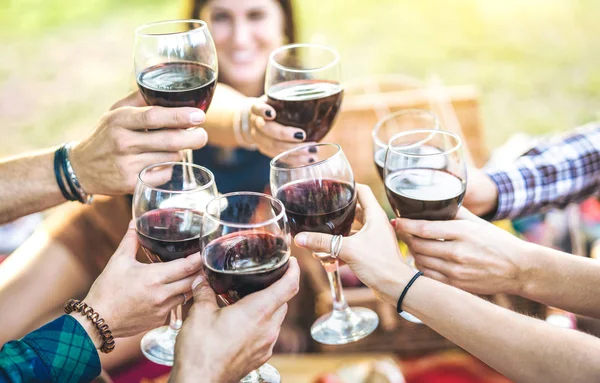 Hands toasting red wine and friends having fun cheering at winetasting experience - Young people enjoying harvest time together at farmhouse vineyard countryside - Foucus on glasses with blurred woman