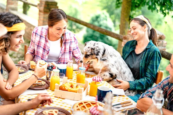 年轻人在乡村农舍与可爱的小狗一起享用健康的 有照片的早餐 与快乐的朋友一起在户外花园派对上玩乐的另类生活方式概念 关注狗狗 — 图库照片
