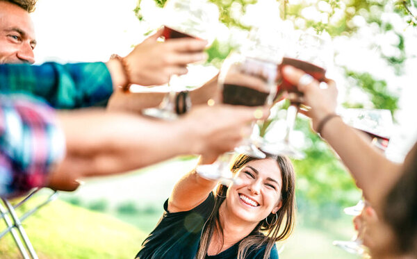 Hands toast with red wine - People having fun cheering at pic nic winetasting - Young friends enjoying harvest time together at farmhouse vineyard countryside - Focus on woman with blurred glasses