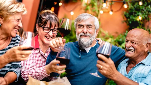 Amigos Seniores Felizes Divertindo Brindando Vinho Tinto Jantar Pessoas Aposentadas — Fotografia de Stock