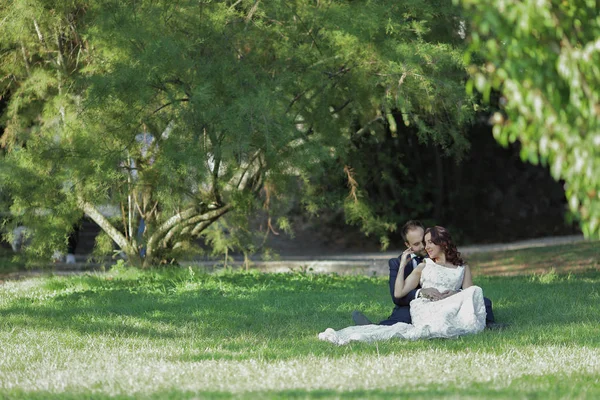 Novia y novio con estilo en un parque el día de su boda. Hermosa historia de amor en la naturaleza, pareja enamorada . — Foto de Stock