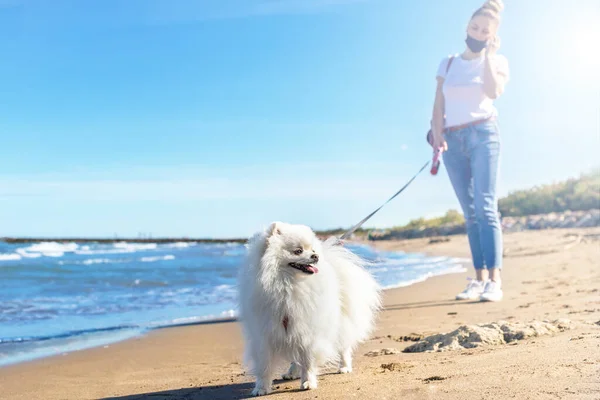 Chica con máscara protectora paseando con perro en la playa. Perro pomerano blanco . — Foto de Stock