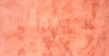 Pembe beton duvarın yanında. Kopyalama alanı olan doğal arkaplan.