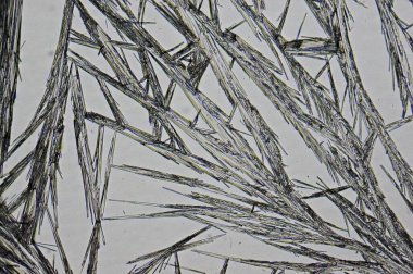 Mikroskop altında kristalize edilmiş salisilik alkol