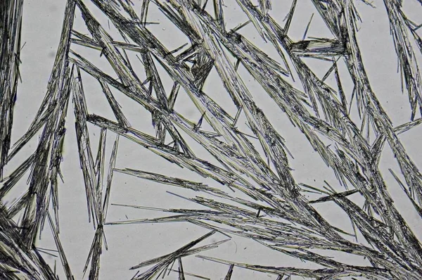 Krystalizowany Alkohol Salicylowy Pod Mikroskopem — Zdjęcie stockowe