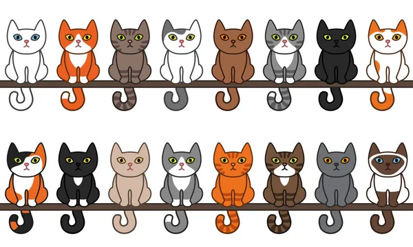 Vários gatos sentados sem costura conjunto de borda. Bonito e engraçado desenho animado gatinho gato vetor ilustração conjunto com diferentes raças de gatos. Gatinhos de estimação de cores diferentes . —  Vetores de Stock