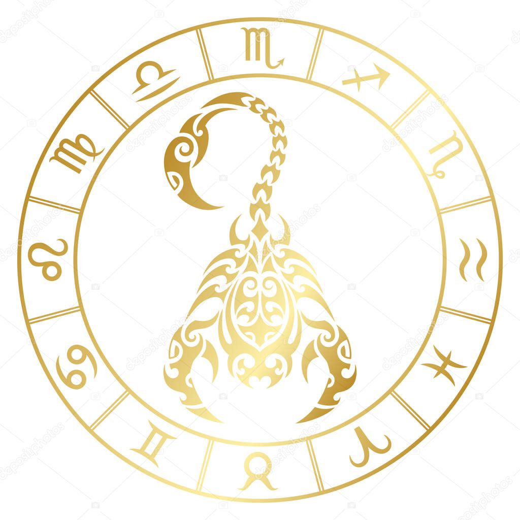 Zodiac sign scorpio and circle constellations in maori tattoo style. Gold on white background vector illustration isolated.