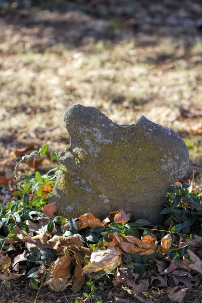 Ancien Historique Grave Marqueurs Chez Morgan County Alabama Usa — Photo