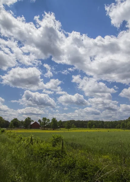 Amishská Zemědělská Zahrada Krajina Tennessee Usa — Stock fotografie