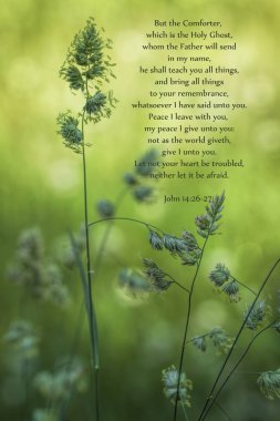 John 14 İncil Ayet ile Wild Prairie Grass