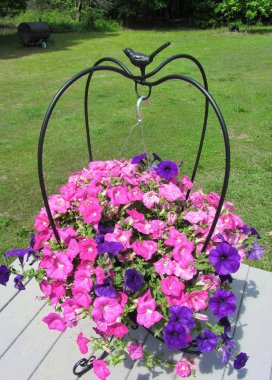 Ferforje Standda Pembe ve Mor Dalga Petunyaları