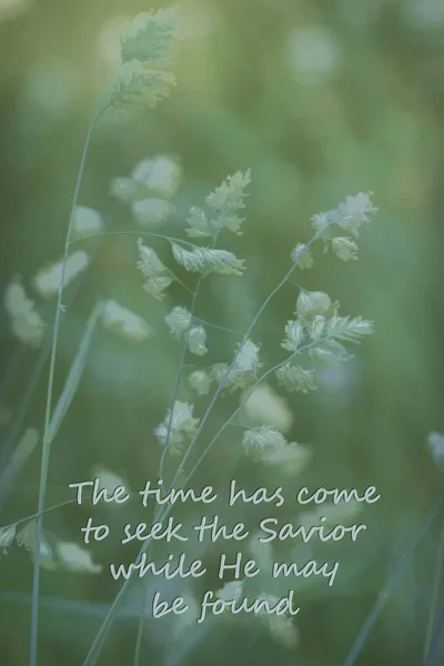 The Time Has Come To Seek The Savior While He May Be Found on Soft Focus Prairie Grass Background