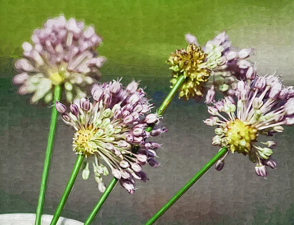Lavendel Allium Wildblumen Digital Bemalt — Stockfoto
