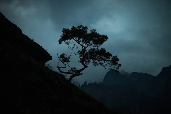 akşam gökyüzüne karşı Himalayalar kayalar epik çam