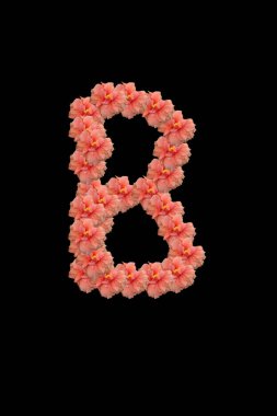 çiçeklerden oluşturulan Alfabe harfi B