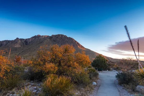 Beautiful Morning Guadalupe Mountains National Park Stock Picture