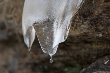 Kış güneşinde eriyen buz