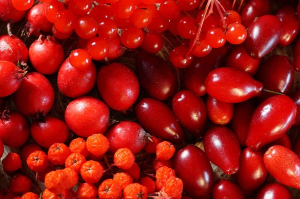 Red berry of different varieties close-up. — Stock Photo, Image