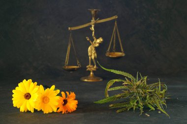 Uyuşturucuyla yaşam arasında seçim yapan sembolik bir kompozisyon..