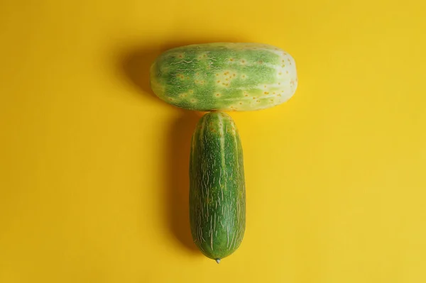 Dois grandes pepinos verdes e crescidos em um fundo amarelo . — Fotografia de Stock