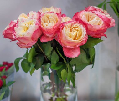 Japon Şakayık rose, sınıf: sevilen bir. Cam vazo içinde hassas bir buket