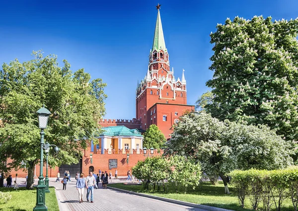 В Москве. 18 мая 2019 года. View of the Kremlin 's wall and Trinity Tower from the blooming Alexander Garden — стоковое фото