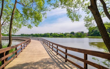 Moskova. 16 Haziran 2020. Meshchersky Parkı ve göl kıyısında tahta bir köprü.