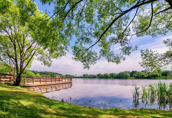 Moskova Haziran 2020 Meshchersky Parkında Yaz Manzarası Güzel Bir Göl — Stok fotoğraf