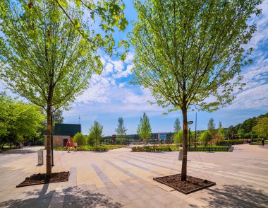 Moskova. 16 Haziran 2020. Genç akçaağaç tohumları Meshchersky parkına ekildi. Plaj girişi karantina nedeniyle kapalı.