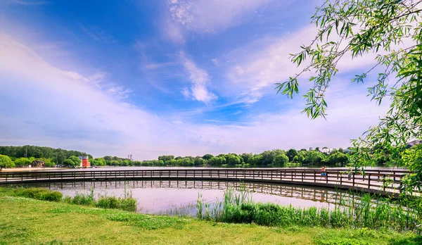Moskova Haziran 2020 Meshchersky Parkındaki Güzel Yaz Manzarası Göl Manzarası Stok Resim