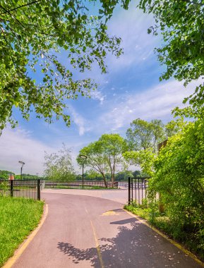 Moskova. 16 Haziran 2020. Meshchersky Parkı. Ormandan gölete bisiklet yolu.