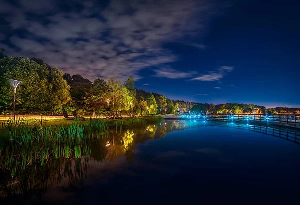 Mosca Agosto 2020 Buonanotte Stagno Nel Parco Meshchersky Bellissimo Paesaggio Fotografia Stock