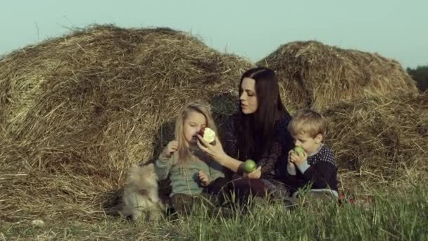 Feliz Madre Joven Con Los Niños Relajarse Comer Frutas Campo — Vídeo de stock