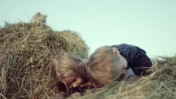 Gelukkig Weinig Kinderen Spelen Tarwe Samen Met Hond — Stockvideo