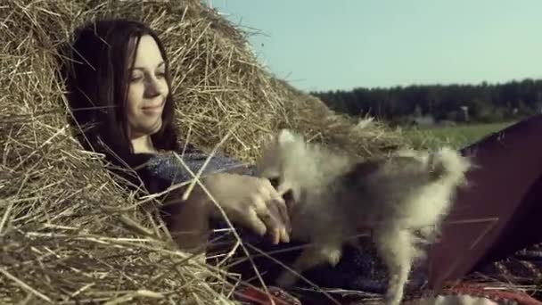 Jovem Mulher Atraente Deitado Campo Brincando Com Cão — Vídeo de Stock