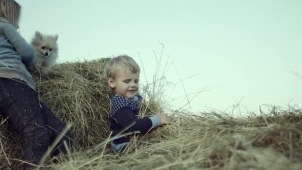 Happy Little Kids Playing Wheat Together Dog — Stock Video