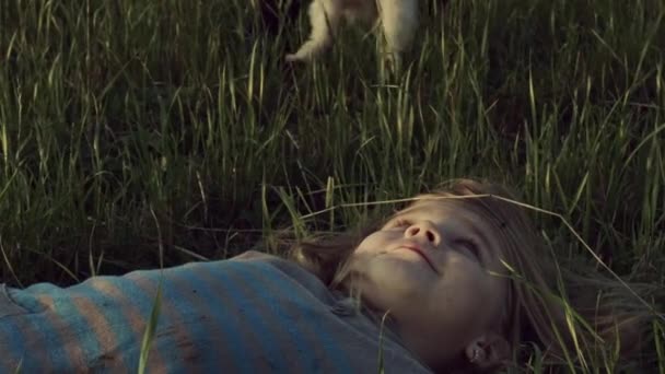 Kleines Süßes Mädchen Liegt Weizenfeld — Stockvideo