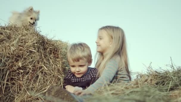 Щасливі Маленькі Діти Грають Пшениці Разом Собакою — стокове відео