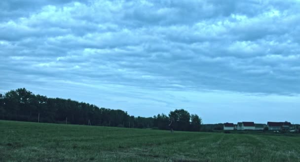 Gruselige Zombie Frau Läuft Auf Feld — Stockvideo