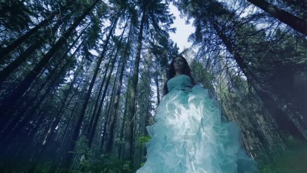 Vidéo Avec Une Femme Belle Robe Posant Dans Forêt — Video