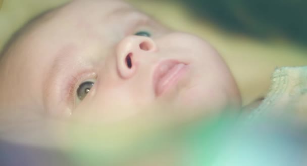 Крупним Планом Вигляд Маленького Хлопчика Обличчя — стокове відео