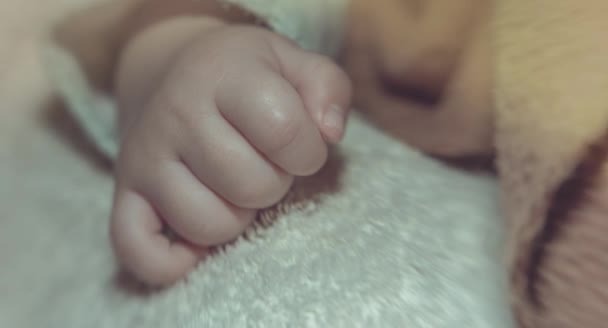 Closeup View Little Baby Boy Hand — Stock Video
