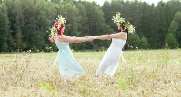 つの若い女性の花輪麦畑の晴れた日に一緒に踊って — ストック動画