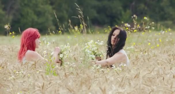 Zwei Schöne Frauen Machen Gemeinsam Kränze Weizenfeld Einem Sonnigen Tag — Stockvideo