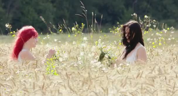 在阳光明媚的日子里 两个美丽的女人一起在麦田做花圈 — 图库视频影像