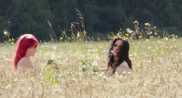 Zwei Schöne Frauen Machen Gemeinsam Kränze Weizenfeld Einem Sonnigen Tag — Stockvideo